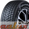 100A4935 Winterpro 2 (EVO)  